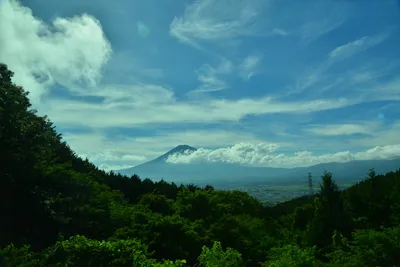 DSC_3668 (Large).JPG